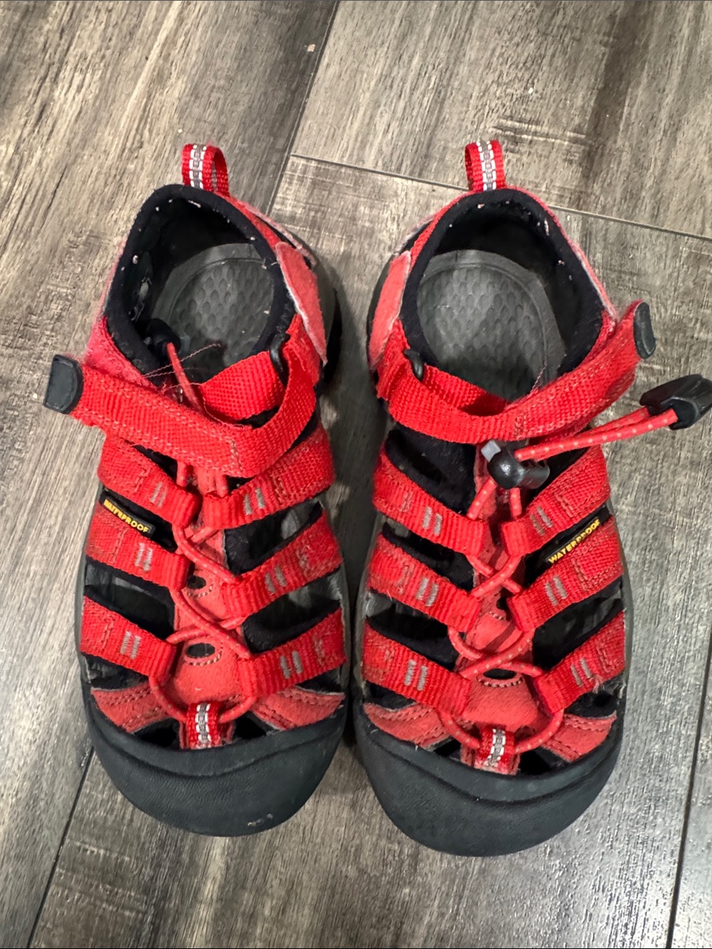 Keen Newport H2 Hybrid Sandal Toddler size 12